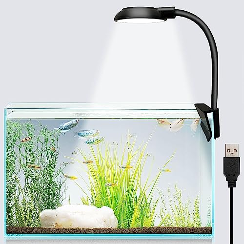 Light for online fish bowl