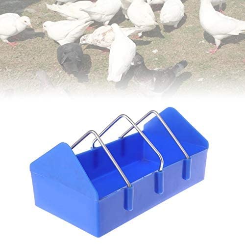 Pigeon feeding clearance tray for sale