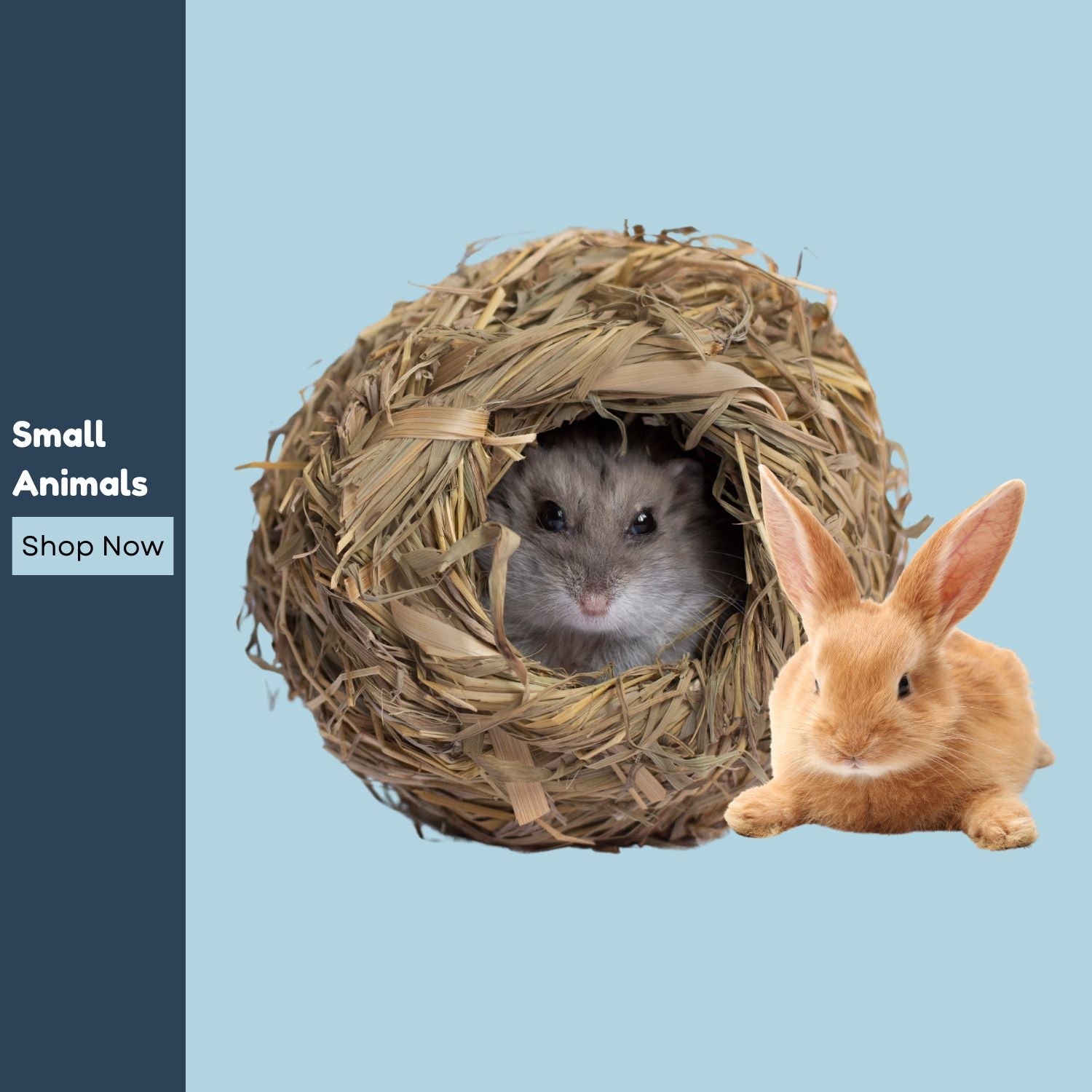 Small Animals