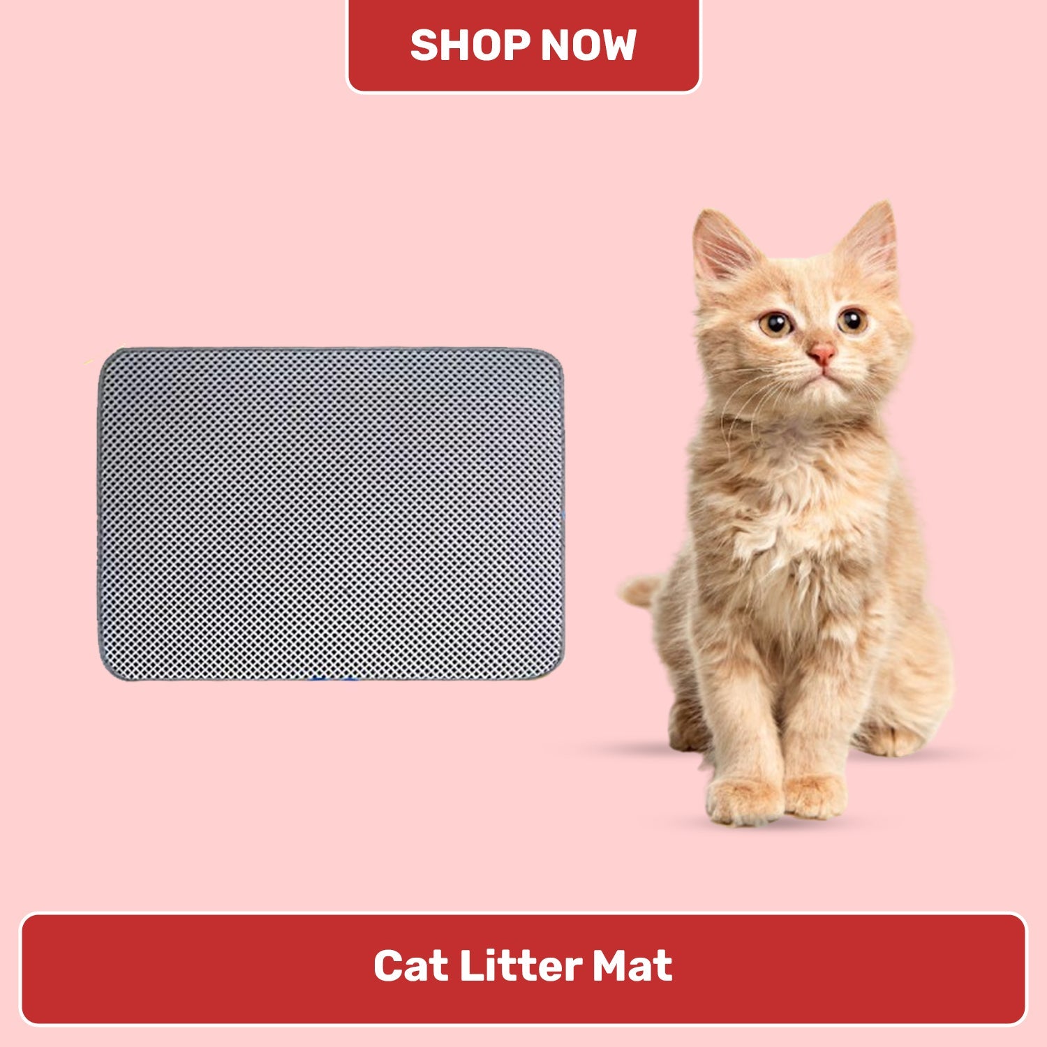 Cat Litter Mat