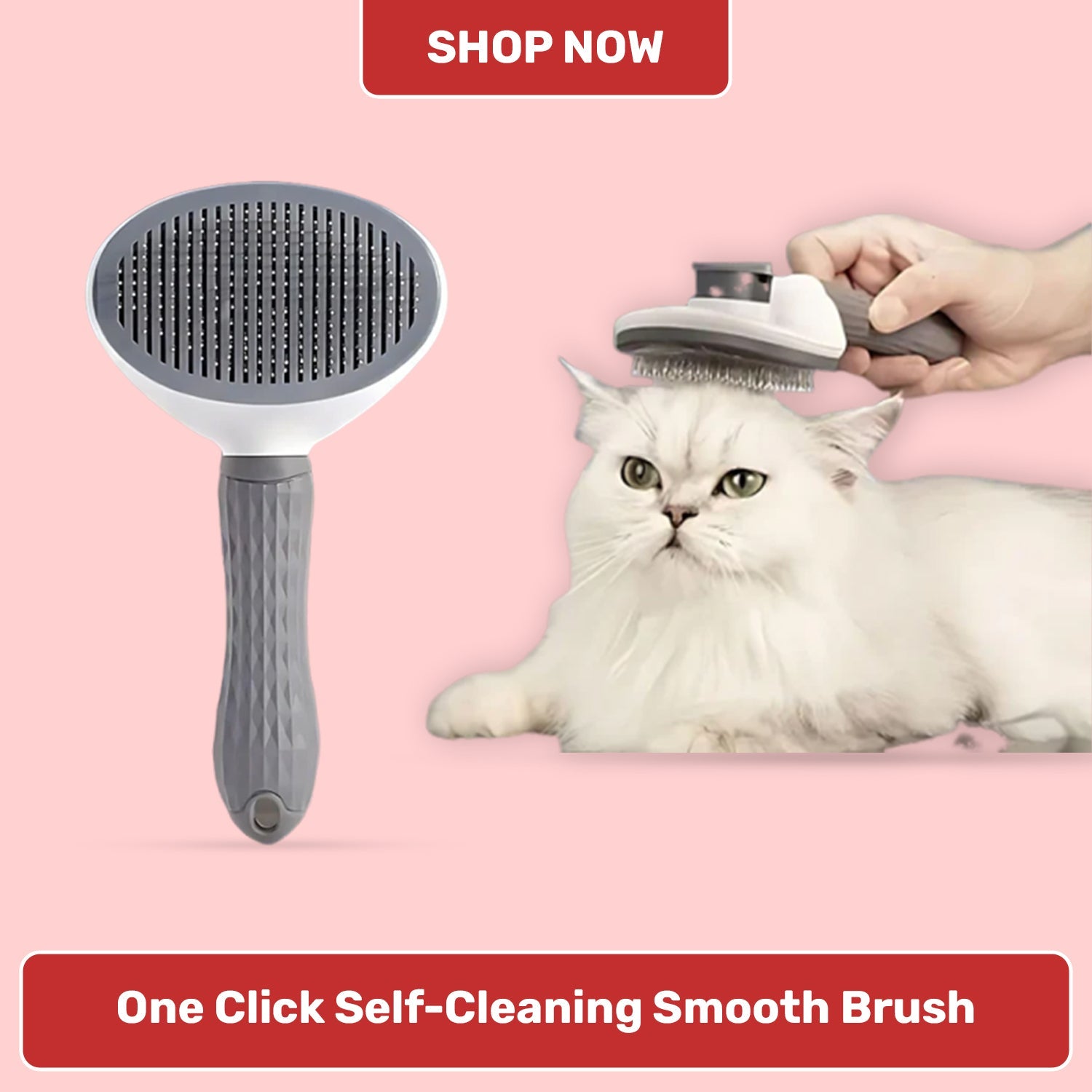 Self Cleaning Brush