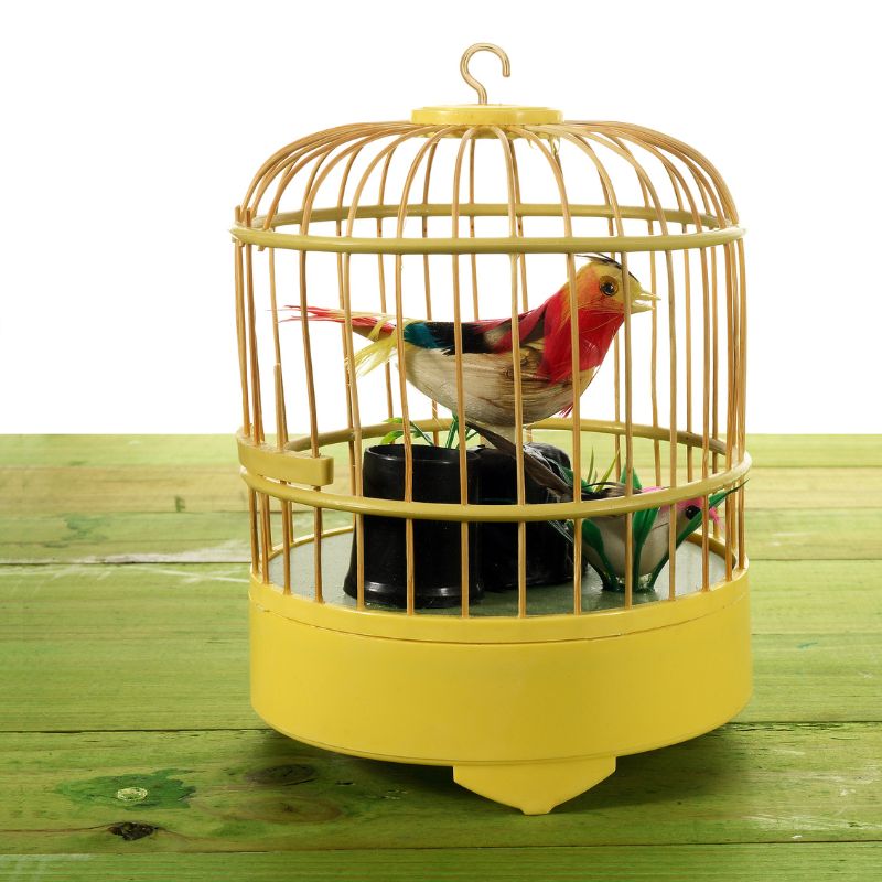 Birds Cage