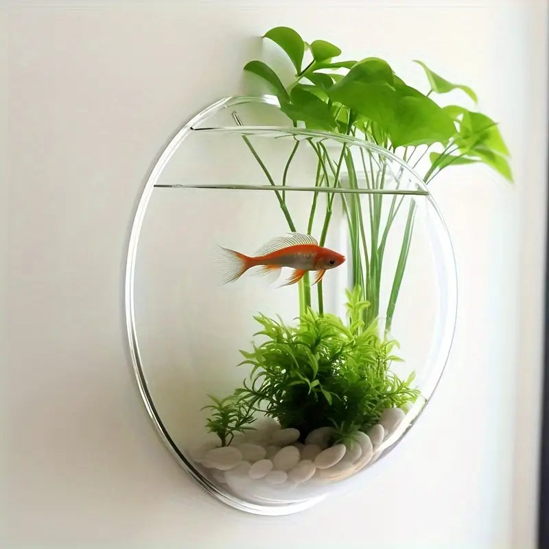 Petzlifeworld Acrylic White Wall Hanging Bowl (with Free Stones) for Fish and Indoor Water Plants Wall Decoration