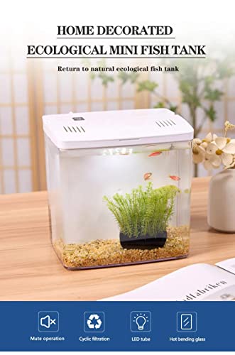 Petzlifeworld Mini Square Shape Aquarium Small Desktop Home Decortive Fish Tank with USB Connector, Multi Mode LED Light, Ultra Silent Pump for Small Fishes (BL 04 ,Size : 20x14x20CM)