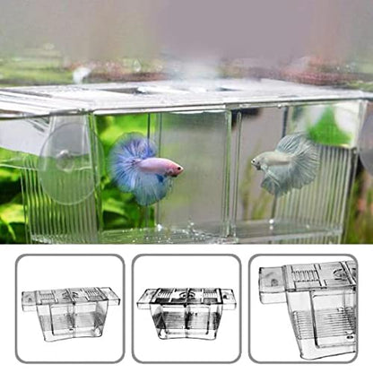 Chicos Double Long Guppy Fish Breeding Tank Fish Hatchery Acrylic FH-101