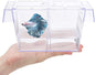 Boyu Fish Breeding Box Tank Hatchery Incubator Aquarium Isolation Box for Baby Shrimp Guppy