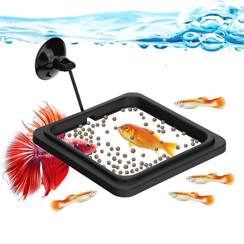 Aquarium Buoyancy Black Fish Food Feeder with Strong Suction Cup