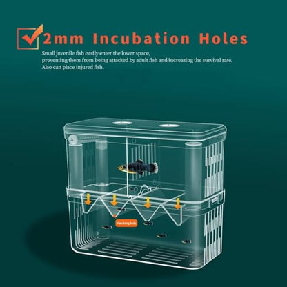 Petzlifeworld Double Deck Isolation Breeding Box for Aquarium Fish Breeding Acrylic Aquarium Hatchery Incubator with Divider for Seperating Small Fish | Can Connected to Air Pump(YSL 503)