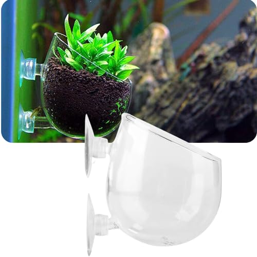 PetzLifeWorld Polka Plant Pot for Aquarium Fish Tank | Carpet Plants Planting Glass Pot | Crystal Clear Glass Pot with with Strong Suction Cup