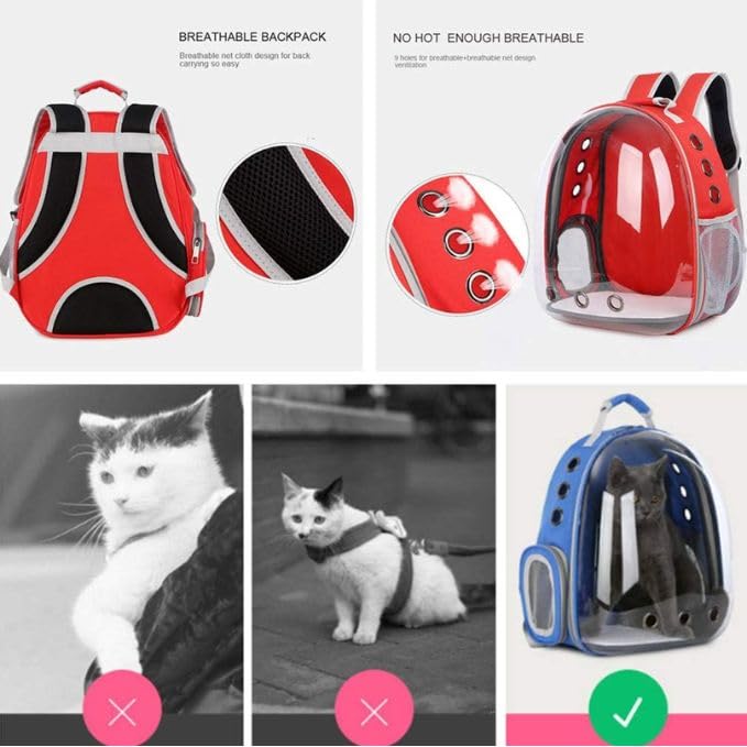 Petzlifeworld Transparent Portable Pet Backpack Travel Carrier, Convenient Travel for Small Dog and Cat | Waterproof, Comfortable and Breathable