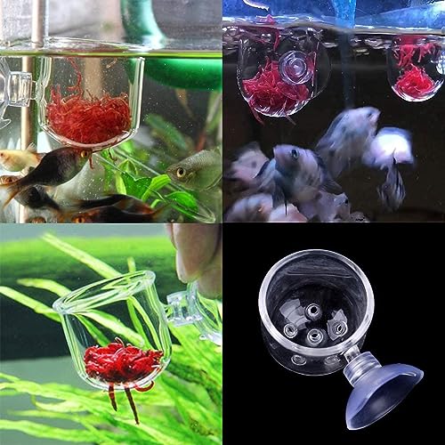 Live bloodworms store for aquarium fish