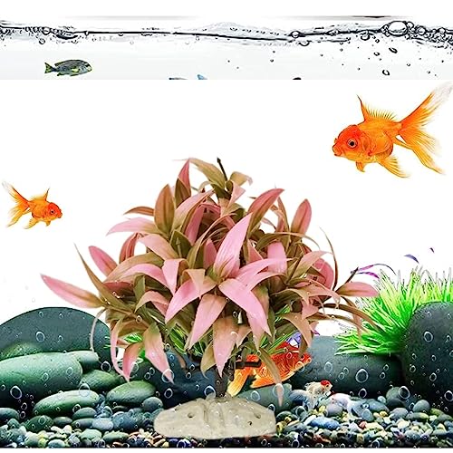 PetzLifeworld 7 Inch (18 * 18 * 18Cm) Pink with Green Bush Plastic Aquarium Plants for Fish Tank Ornament Natural Design Decorations (ST-1090)