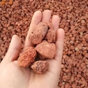 Petzlifeworld 2~3cm Natural Volcanic Red Lava Stone