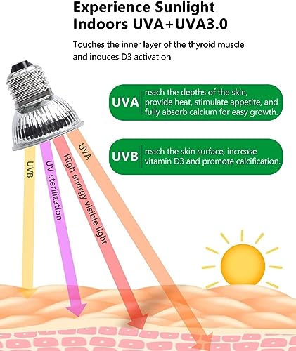 Heat and hotsell uvb basking bulb