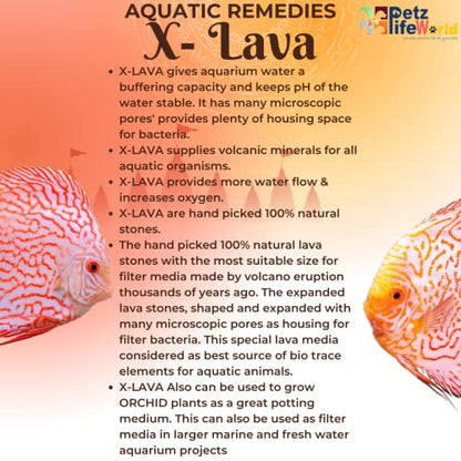 Aquatic Remedies X-Lava Filter Media, 800ML (600G) | The Finest Hand Picked Volcano Lava Porous and Water Treatment Filter Media for Aquarium