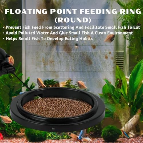 Aquarium Buoyancy Black Fish Food Feeder with Strong Suction Cup (Round)