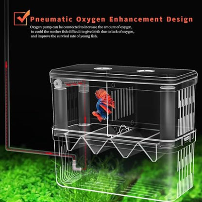 Petzlifeworld Double Deck Isolation Breeding Box for Aquarium Fish Breeding Acrylic Aquarium Hatchery Incubator with Divider for Seperating Small Fish | Can Connected to Air Pump(YSL 503)