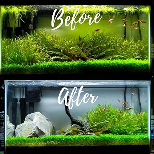 YEE Aquarium Fish Tank Water Clarifier | Quick Results | Makes Aquarium Fish Tank Crystal Clean in 12 Hrs