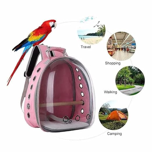 Petzlifeworld Breathable Transparent Carrier Travel Backpack for Small Puppy, Cat & Birds (Random Color)