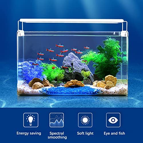 RS-T600 Suits for 60~70cm Tank Aquarium Ultra Thin Design Fish Light (Blue+White)