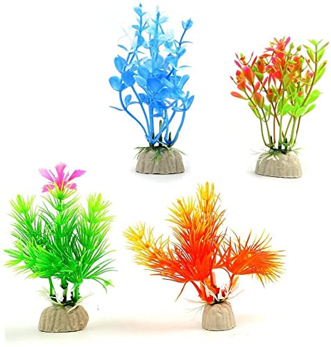 Spanish Moss ( Tillandsia Usneoides) Indoor Airplants at Rs 299.00, Decorative Plant