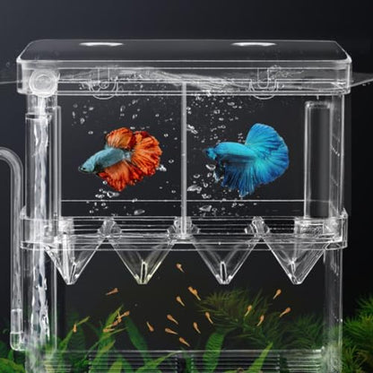 Petzlifeworld Double Deck Isolation Breeding Box for Aquarium Fish Breeding Acrylic Aquarium Hatchery Incubator with Divider for Seperating Small Fish | Can Connected to Air Pump(YSL 503)