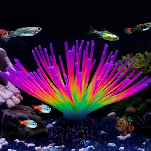 Petzlifeworld Soft Silicone Glowing Anemone, Fluorescence Aquatic Artificial Coral for Fish Tank Decoration | Enchanting Fish Tank Decor (Ramdom Colors)(SH038)