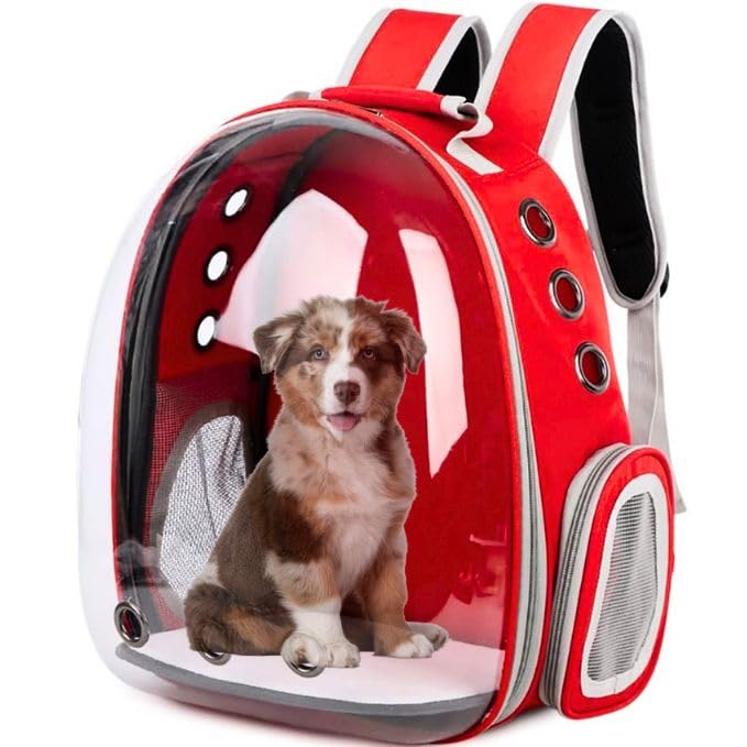 PetzlifeWorld Transparent Portable Pet Backpack Travel Carrier, Convenient Travel for Small Dog and Cat