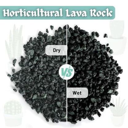 Petzlifeworld Natural Volcanic Black Lava Rocks, Versatile Pebbles for Fish Tank Landscaping