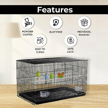 PetzLifeworld 1.25 Feet (15 Inch ) Small Birds Cage Birds Cage For Budgies, Finches, Love Birds, Cocktails, Conures & All Small Birds With Free Hanging Toys