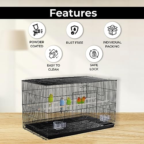 PetzLifeworld 1.25 Feet (15 Inch ) Small Birds Cage Birds Cage For Budgies, Finches, Love Birds, Cocktails, Conures & All Small Birds With Free Hanging Toys