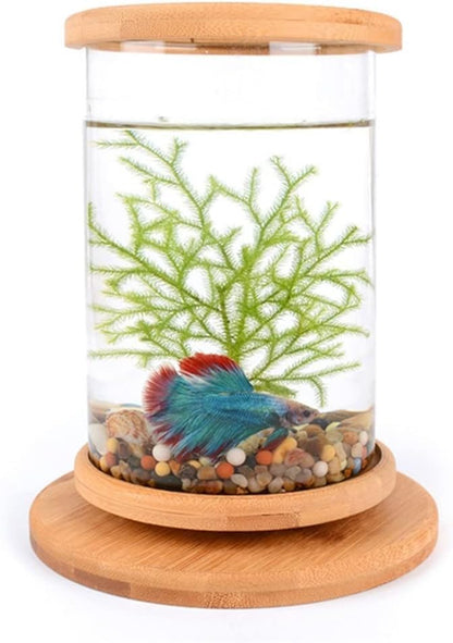 PetzLifeworld Mini Glass Cyl Shape Wooden Bamboo Base 360 Degree Rotating Closed Deskop, Table Home Decoration Bowl Aquarium Fish Tank with Top LED Light for Betta | 15CM*10CM