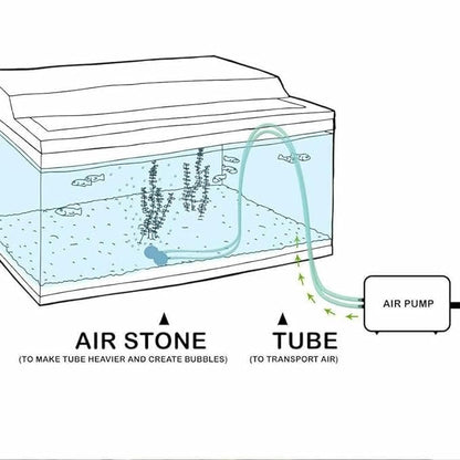 Sunsun CT-101 | 3W | 1.5L/Min Air Volume Adjustable Aquarium Oxygen Air Pump with 2 Meter Air Tube and 1 Air Stone for Aquarium Fish Tank (1 Way)