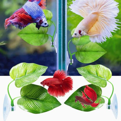 Petzlifeworld 2 Pcs Double Leaf Betta Rest Area Plant Pad Simulating The Natural Habitat for Betta Spawning Grounds Breeding Bed | BPA Free | Safe For Fish