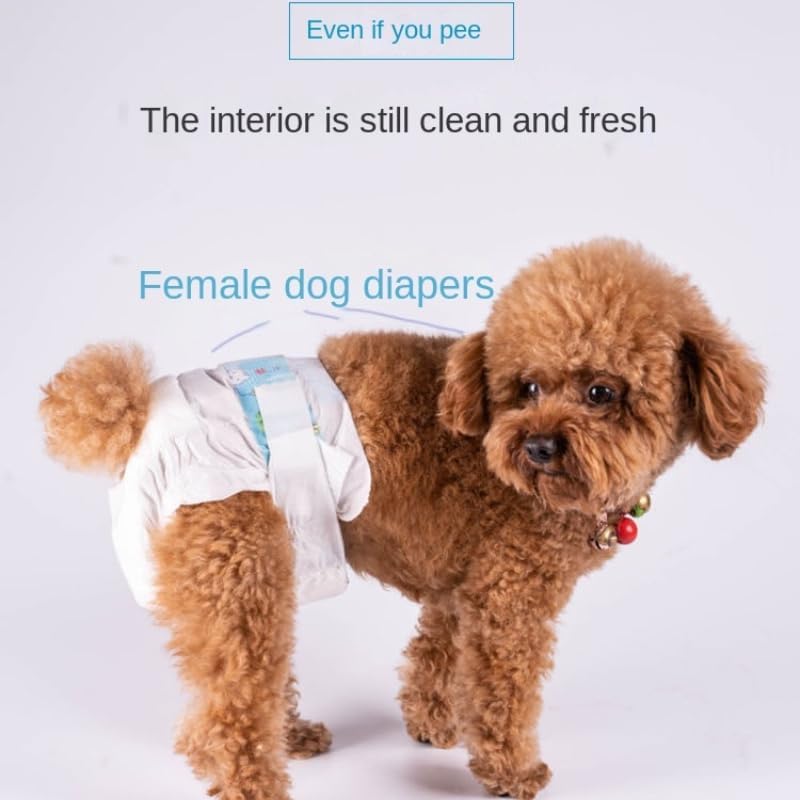 PetzLifeworld Female  Env-Friendly Disposable 10 Pcs Pack for Dog and Cat Diaper