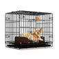 Petzlifeworld 2 Feet (24 Inch) Dog Cage with Removable Tray, Double Door Folding Dog Cage