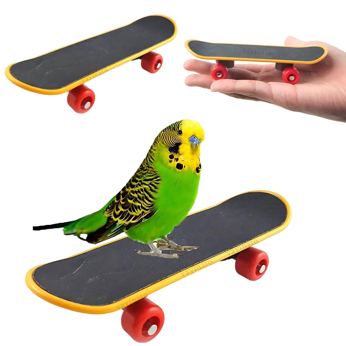 Petzlifeworld Bird Toys Parrot Toys Funny Intelligence Skateboard Toy Stand Perch Toy for Parakeet Cocktails Bird Training Accessories