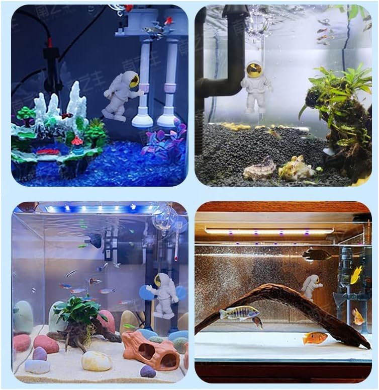 Cute fish outlet tanks