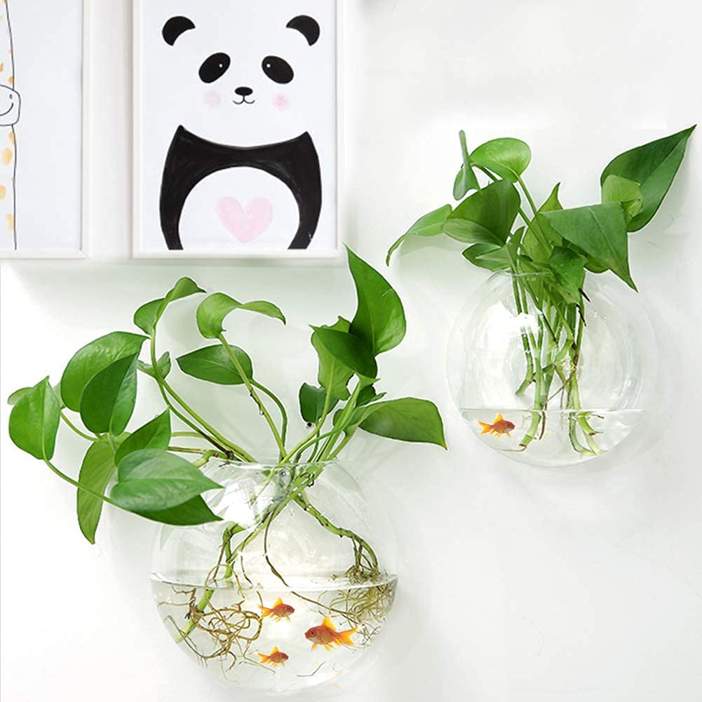 Petzlifeworld Acrylic White Wall Hanging Bowl (with Free Stones) for Fish and Indoor Water Plants Wall Decoration