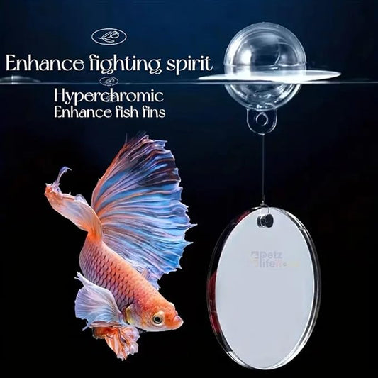 Petzlifeworld 4Cm Double Sided Betta Mirror Plaything for Fish Tank, Betta Exercise Mirror Circle Exercise Mirror with Floating Ball | Smooth Edges