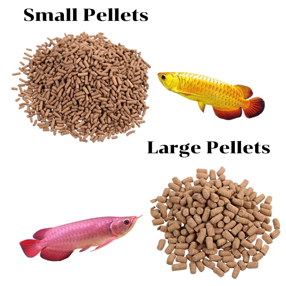 Ocean Free AR-G1 Arowana Carnivorous Pellet (Original) Fish Food, 250G