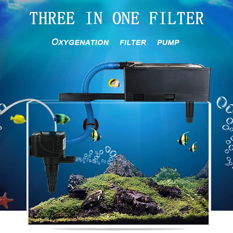 Best 2024 aquarium filter