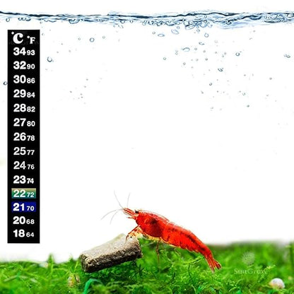 Boyu BT-05 Digital Sticker Thermometer For Aquarium Fish Tank