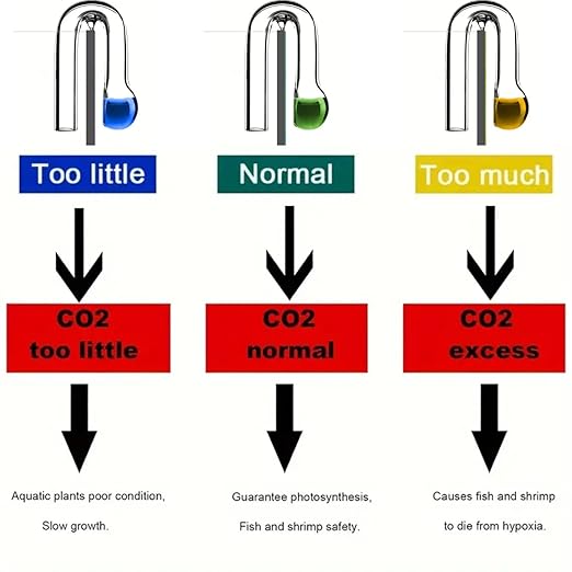 Petzlifeworld Co2 Glass Indicator Drop Checker (Hanging Ball Shaped) with (15ml) Co2 Liquid Solution for Aquarium Fish Tank Detector Tester Monitor