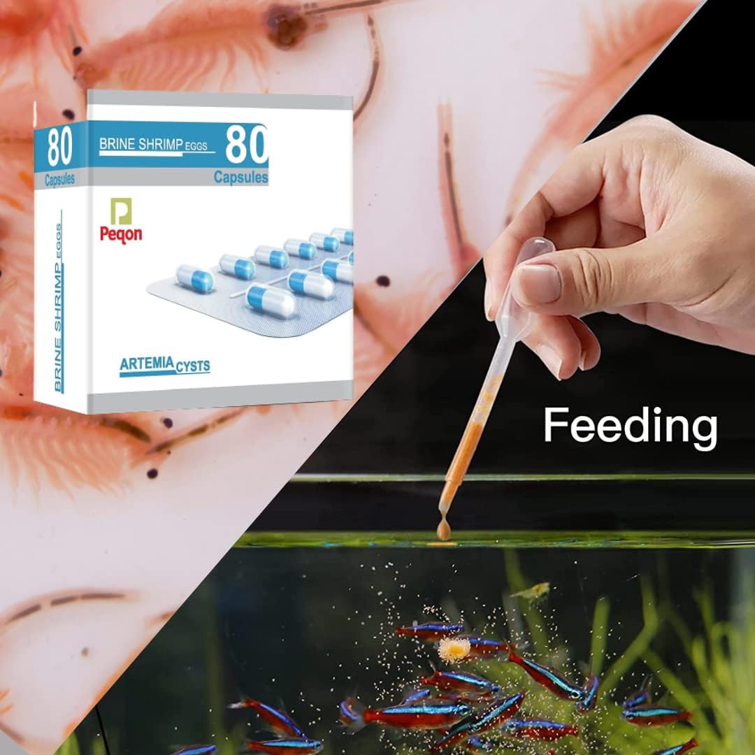 Petzlifeworld 2 in 1 Brine Shrimp Artemia Eggs Hatchery Vertical Incubator & Peqon Artemia Capsule 1 Strips (10 Capsules)