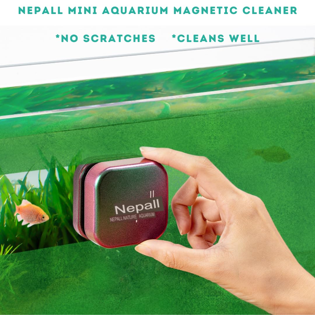 Nepall Premium Gradient Colour Scratch Proof Aquarium Fish Tank Magnetic Cleaner | Floating Type Algea Scrapper