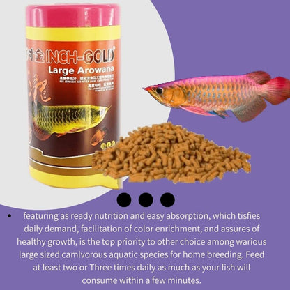 Inch Gold Large Arowana, 454G for Large Arowanas and Carnivorous Fish