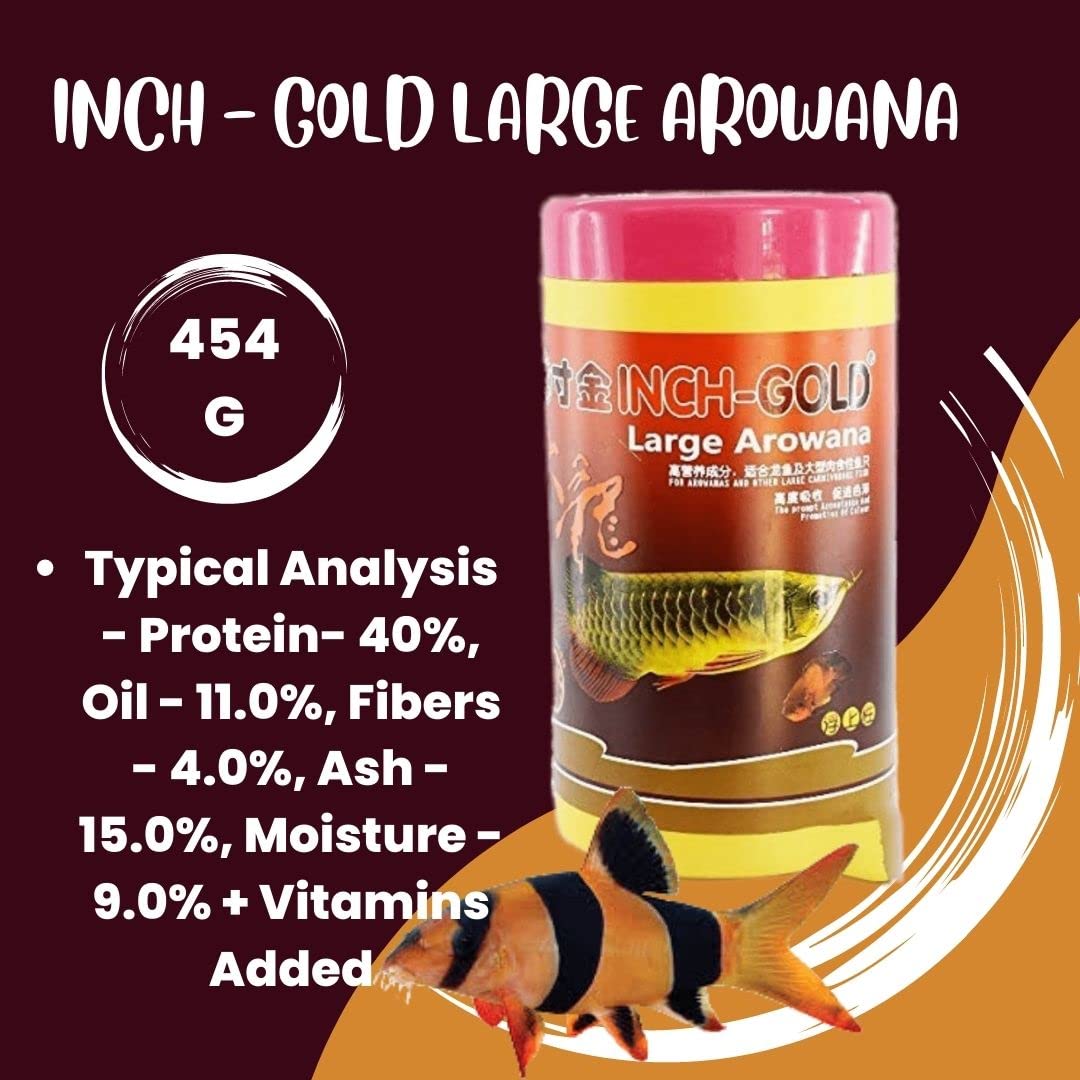 Inch Gold Large Arowana Fish Food (454 G) 0.454 kg Dry Senior, Adult, Young Fish Food