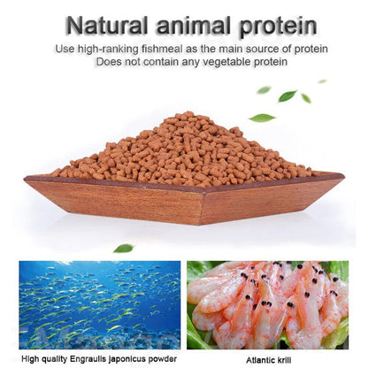 Ocean Free AR-G1 Arowana Carnivorous Pellet (Original) Fish Food, 250G