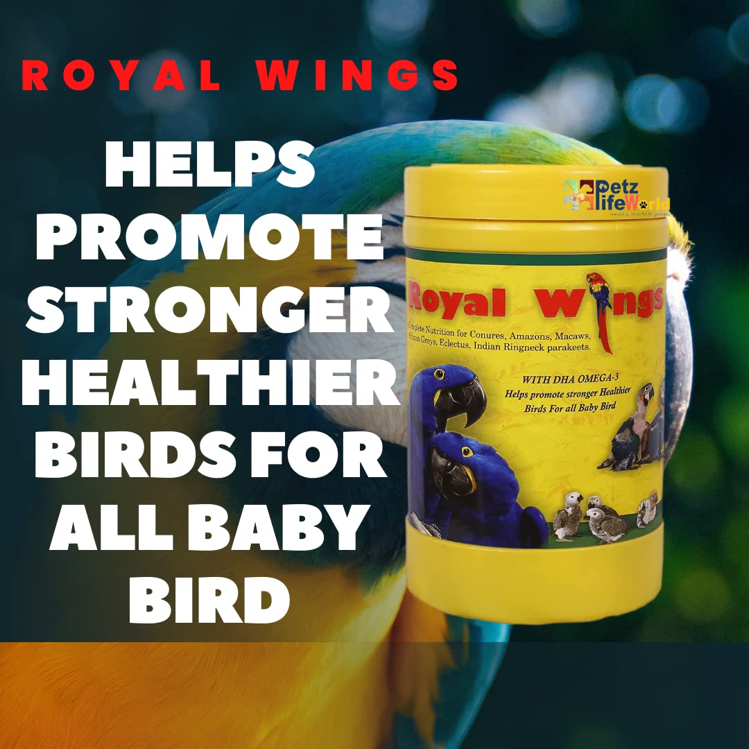 Star Farms  Royal Wings Hand Feeding Formula With Hand feeding syringe